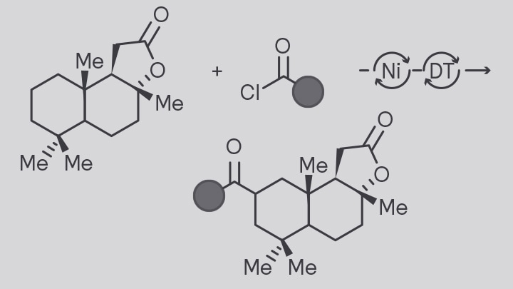 PhotoChem 4