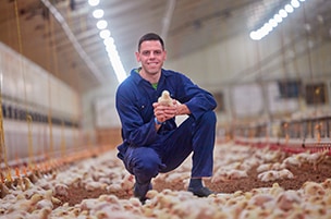 Poultry Barns