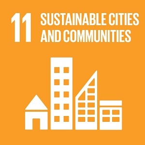 SDG-11